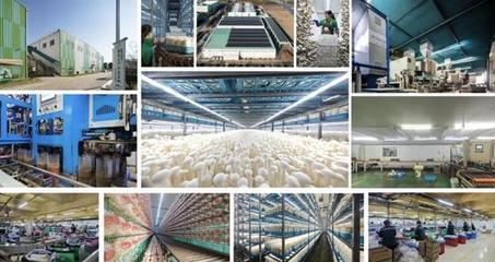 昆山張浦鎮食用菌出口北美市場