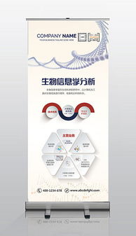 psd醫學易拉寶 psd格式醫學易拉寶素材圖片 psd醫學易拉寶設計模板 