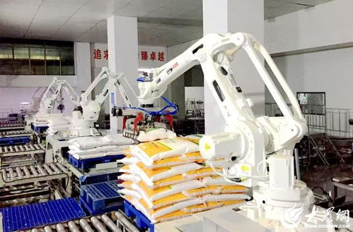 科技賦能，農頭工尾 濰坊安丘新安街道鍛造健康食品產業黃金鏈條